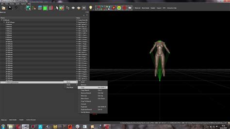 nifskope|nifskope body editing.